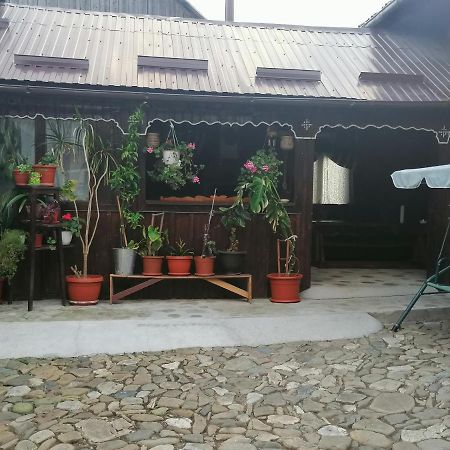 Villa Casa Agroturistica Teodora Mînăstirea Humorului Exterior foto