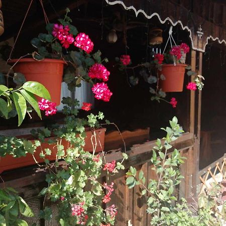Villa Casa Agroturistica Teodora Mînăstirea Humorului Exterior foto
