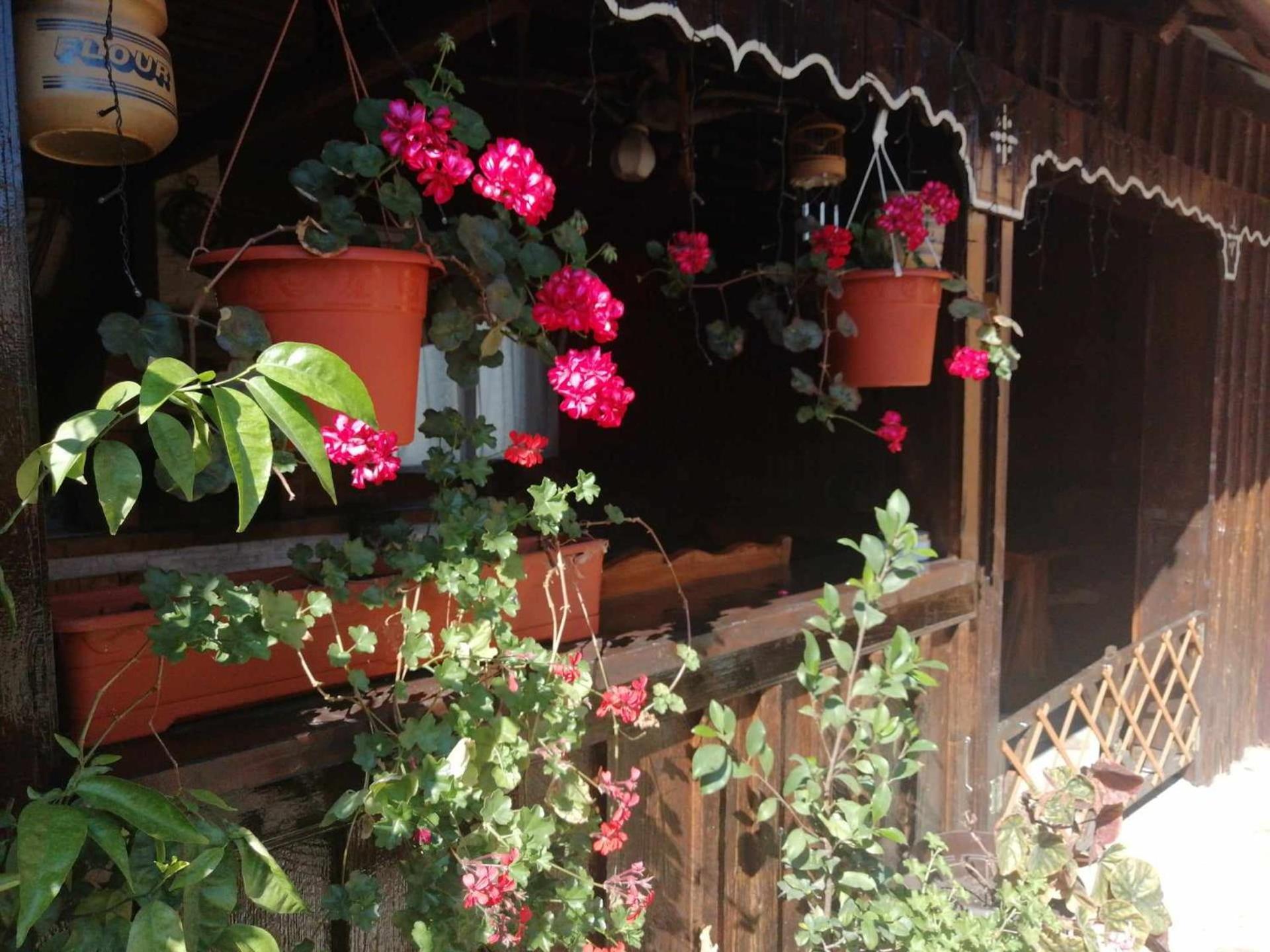 Villa Casa Agroturistica Teodora Mînăstirea Humorului Exterior foto